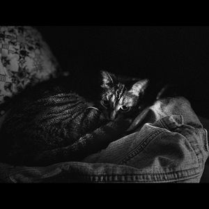 Meet your Posher, Ileana